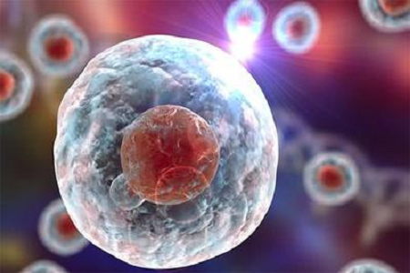 Бабио жоғары сапалы Giemsa дақтарын іске қосады B Цитогенетикалық және гематологиялық диагностикасы үшін