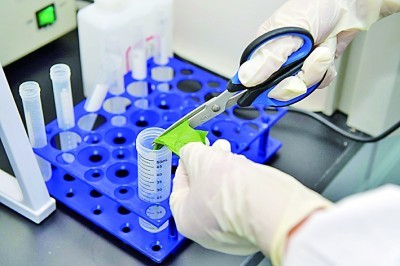 Babio грамының дақ жинағышымен сенімді бактериялық сәйкестендіру қарапайым
