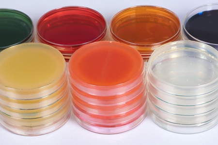 Babio жоғары сапалы сапуро Dextroad Agar (SDA)