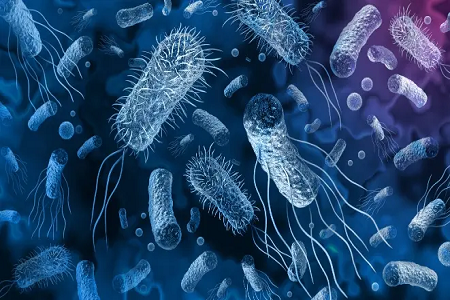 Бабио Vibrio Cholerae жылдам антигенді анықтау жинағын іске қосады