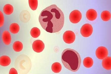 Бабио қан ағымының дамыған қандағы бөтелкесімен қан ағымының диагнозын жақсартады