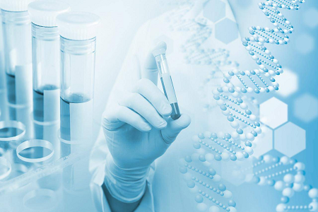 H. pylori IgG/IgM сынақ жинағы: жылдам антиденелерді скринингтік шешім