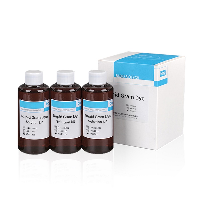 Rapid Gram Dye Solution жинағы